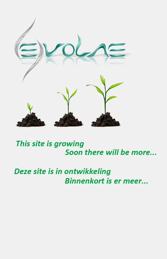 Evolae website under construction verticaal